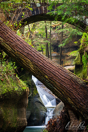 Old Man's Cave Waterfall and Fallen Tree (2021)