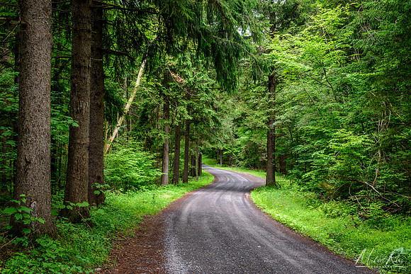 Mountain Road (2017)