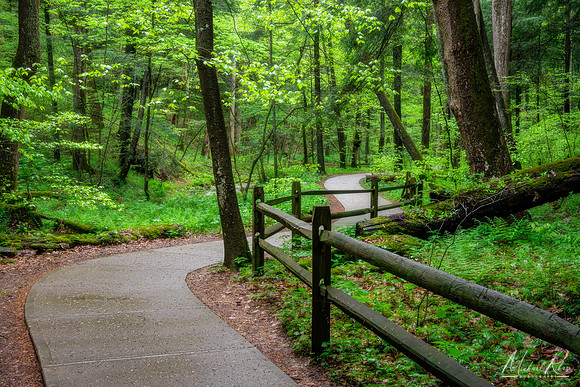 Pathway to Ash Cave (2021)