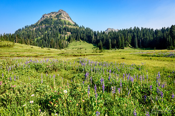 Yakima Peak, Mt. Ranier National Park (2017)
