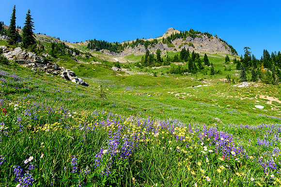 Naches Peak (2017)