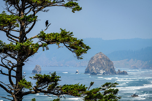 Cannon Beach (2017)