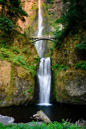 Mulnomah Falls (2017)