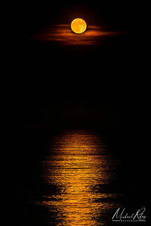 Moonrise, Myrtle Beach (2023)
