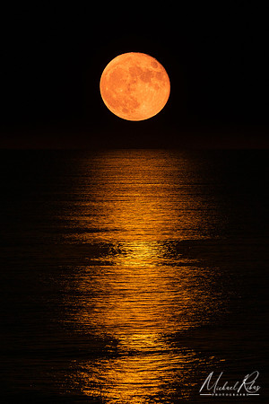 Moonrise, Myrtle Beach (2023)