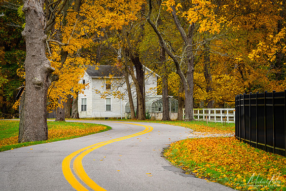Autumn Country Road (2017)