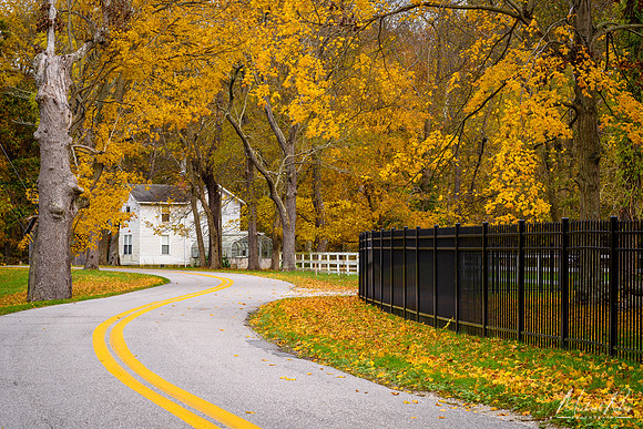 Country Road in Fall (2017)