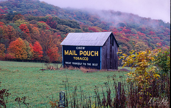 Old WV Mail Pouch Barn (1993)
