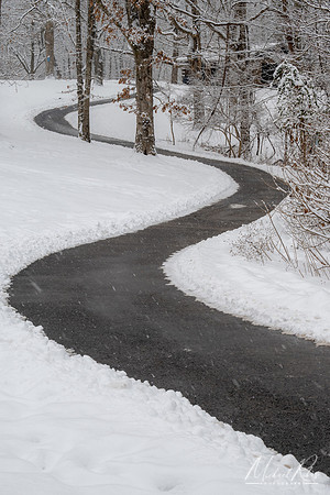 Winding Path (2022)