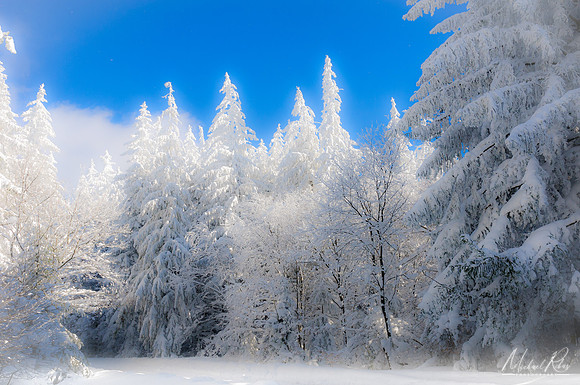 The Magic of Winter (2010)