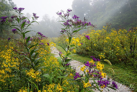 September Morning (2023)