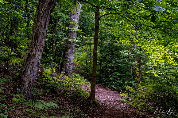 Summer Trail (2021)