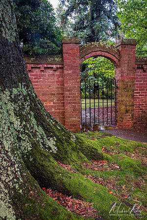 Old Gate, Charlotte, NC (2025)