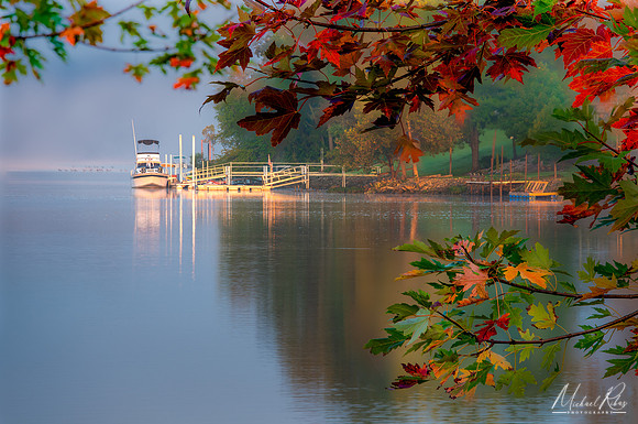 Autumn Morning (2023)