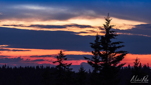 Dolly Sods Evening (2021)
