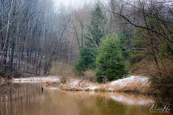 Late Winter Pond (2018)