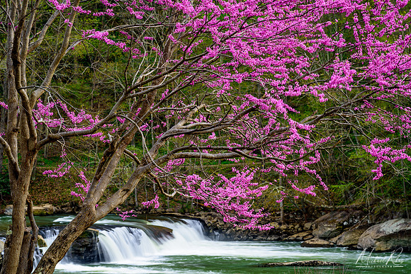 Valley Falls in Spring (2018)