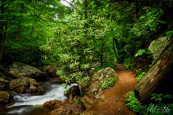 The Trail From the Cascades (2018)