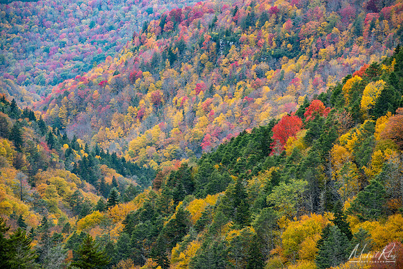 Fall Foliage at Blackwater (2023)