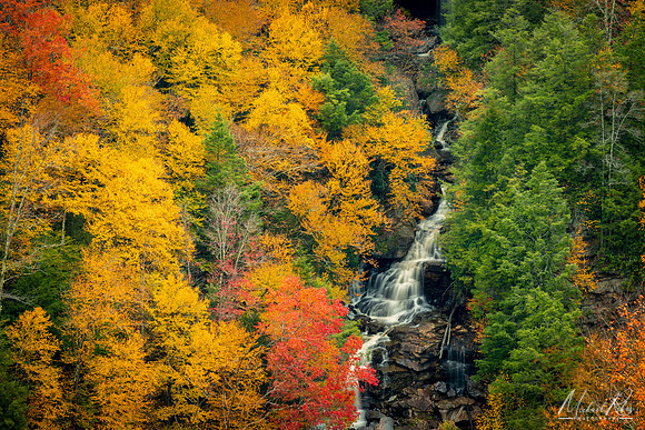 Pendleton Falls at Blackwater Canyon (2023)