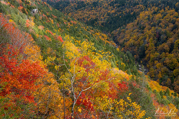 Blackwater Canyon (2023)
