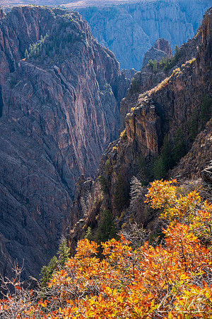 Black Canyon of the Gunnison in Fall (2023)