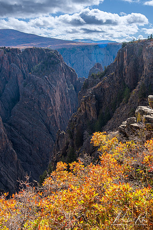 Black Canyon of the Gunnison in Fall (2023)