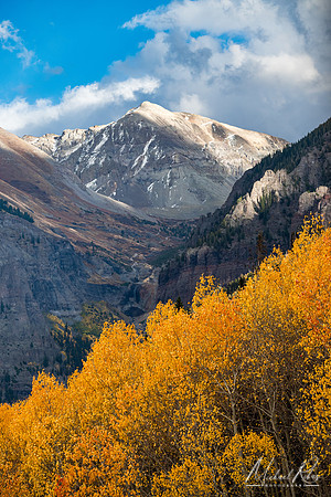 Telluride Mountain (2023)