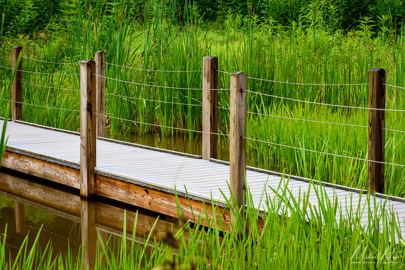 Bridge and Pond (2018)