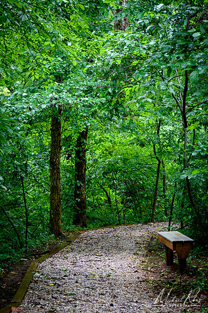 Nature Trail (2018)