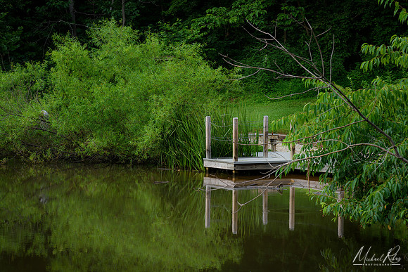 Frog Pond and Pier (2018)
