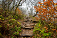 Craggy Gardens (2023)