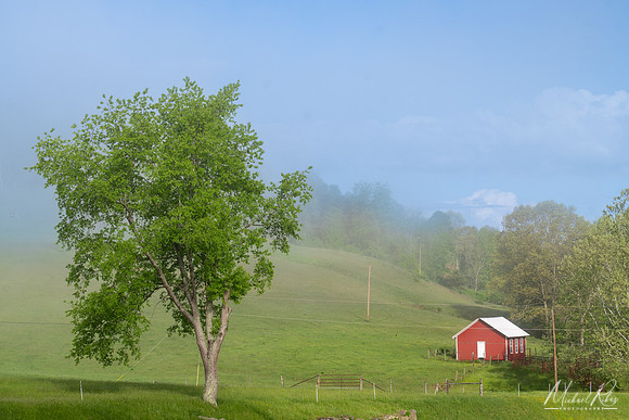 Lifting Fog (2025)