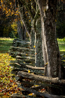 Rustic Fence, Cades Cove (2023)