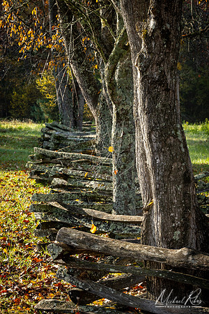 Rustic Fence, Cades Cove (2023)