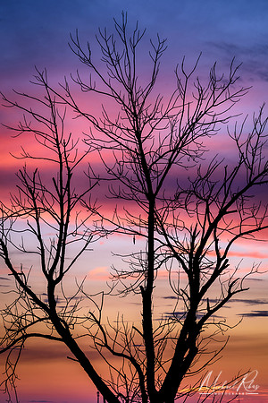 Setember Sunset (2018)