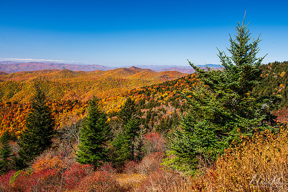 Autumn Vista, Blue Ridge Parkway (2023)