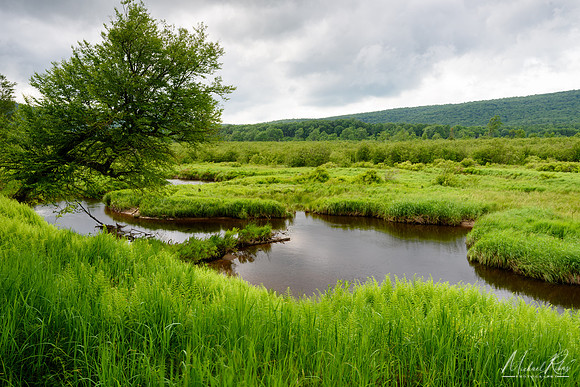 Blackwater River (2018)