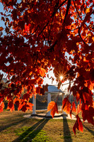 Point Park Fall (2023)