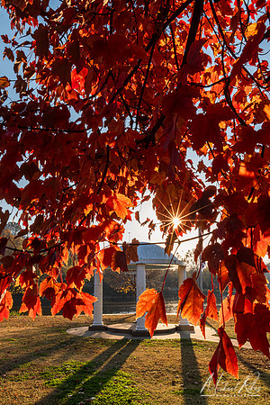 Point Park Fall (2023)