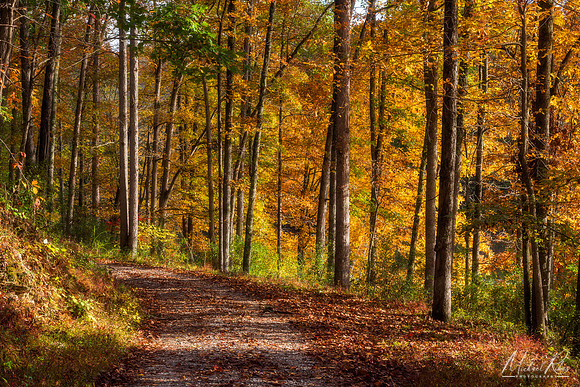 WV Gravel Road in Fall (2023)