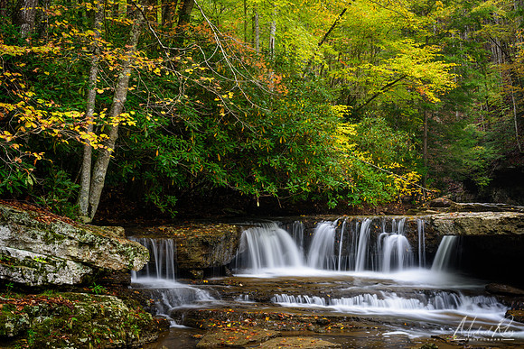 Marsh Fork Falls (2018)
