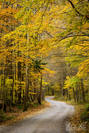 Mountain Road in Fall (2018)