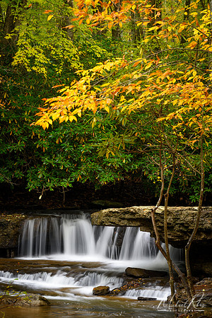 Marsh Fork Falls (2018)