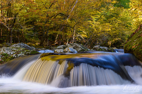 Laurel Creek, Great Smoky Mountains (2018)