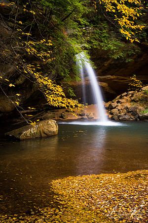 Lower Falls (2018)