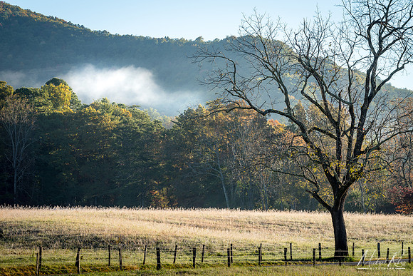 Cades Cove Fall Morning (2018)