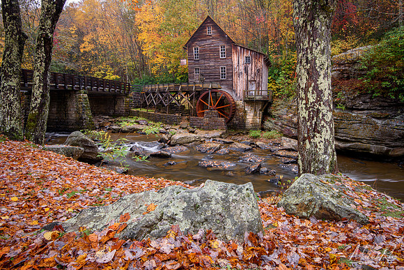 Glade Creek Mill and Fallen Leaves (2016)