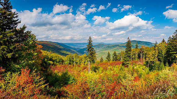 Highland Scenic Highway early fall color (2021)