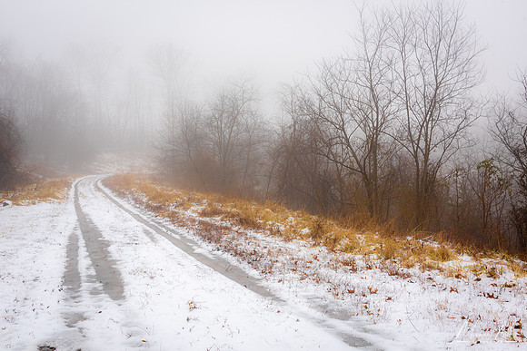 Winter Road (2019)